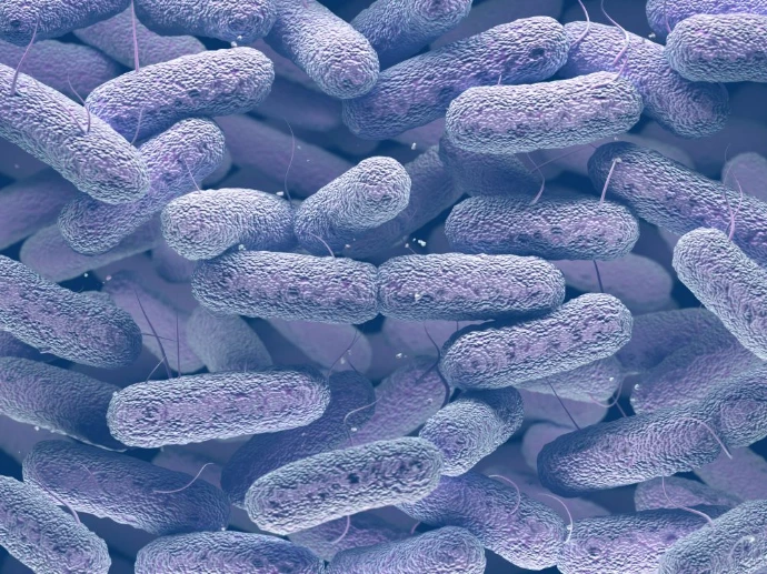 Introduction to Microbiome Science